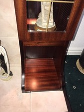 Gas Fire With Mahogany Surround