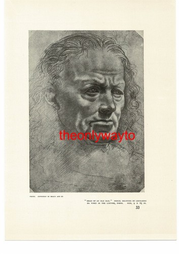 Head old man - head, vinci