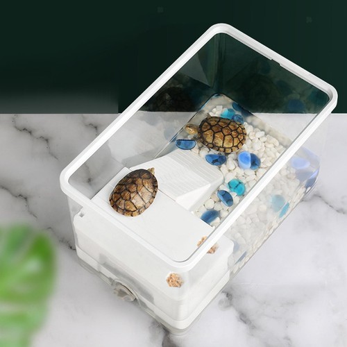 Turtle tank aquarium - tank, sturdy