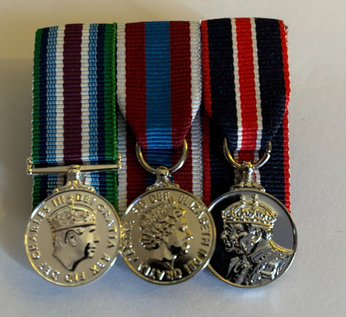 Ciiir wider service medal - service, mini