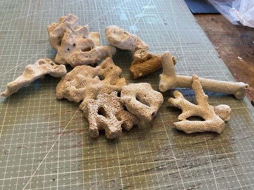 Aquarium corals from - aquarium,