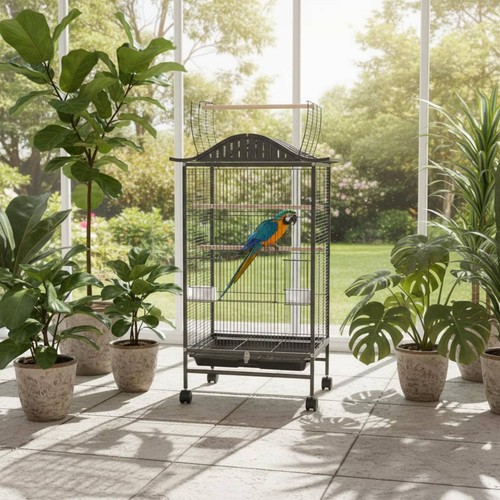 Large parrot aviary - large, enclosure