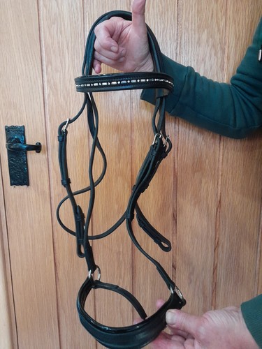 Elevator drop noseband bridle - noseband,