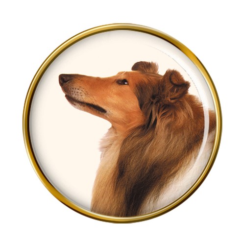 Rough collie lapel pin badge - rough,