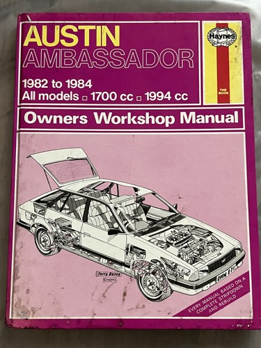 Haynes austin ambassador - haynes,