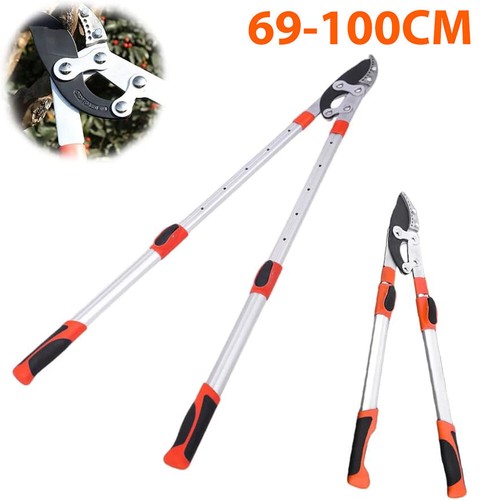 Telescopic garden tree - garden, loppers