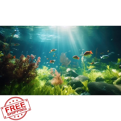 Riivvdise aquarium background - riivvdise,