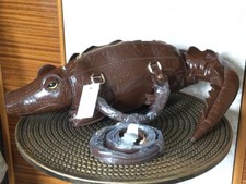 Beautiful Unique Alligator