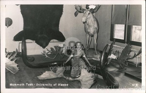 Anchorage alaska mammoth - alaska,