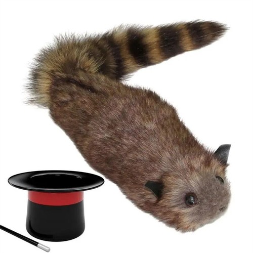 Magic trick spring raccoon - spring,