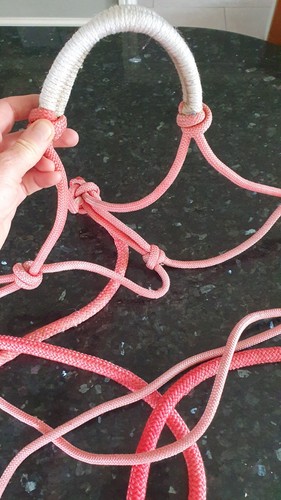 Parelli type halter - parelli, lead