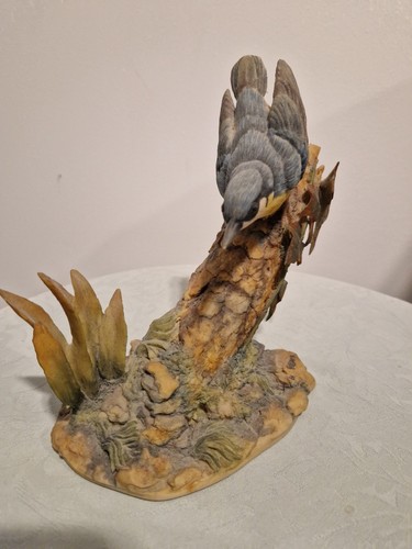 Nuthatch style one border - nuthatch, fine