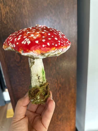 Toadstool mushroom christmas - toadstool,