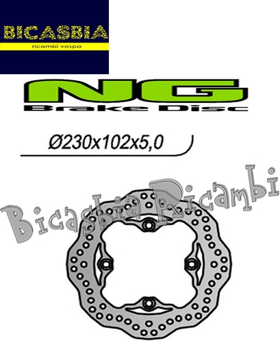 15666 rear brake disc ng - rear,