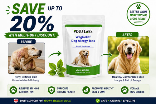 Strongest dog allergy - dog,