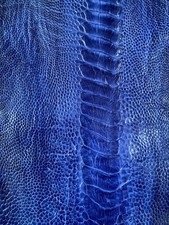 GENUINE OSTRICH LEG SKIN