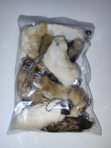 Wholesale lot lucky - of,