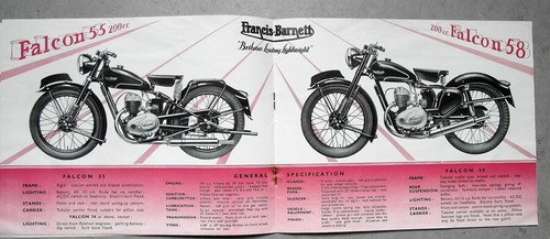 Merlin falcon - merlin,