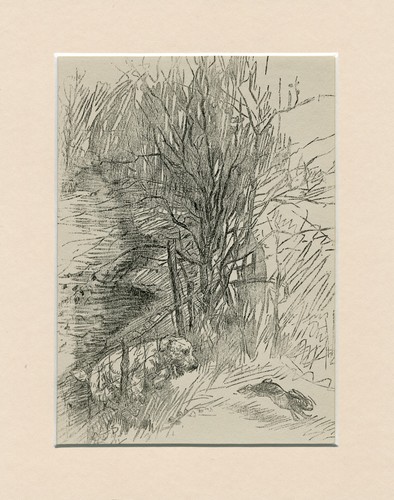 Sealyham terrier chasing - sealyham,