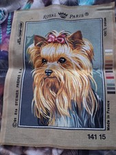 Royal Paris Yorkshire Terrier