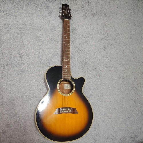 Takamine 106 acoustic - takamine, pt-106