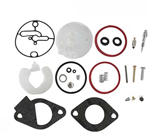 Carburetor rebuild kit - carburetor,