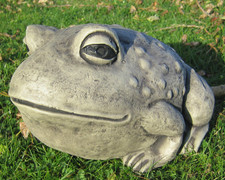 Toady Toad Stone Garden
