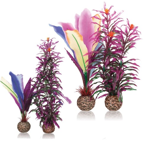 Oase biorb aquarium pack - aquarium, 2