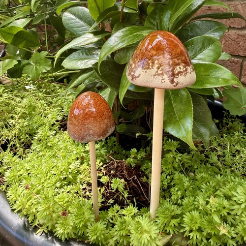 Small ceramic mushroom - 2,