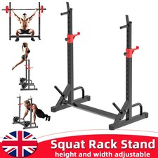 Adjustable Barbell Rack Squat