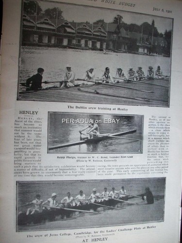 1901 rowing henley - rowing, dublin