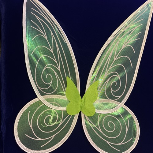 Book day tinkerbell fairy - book,