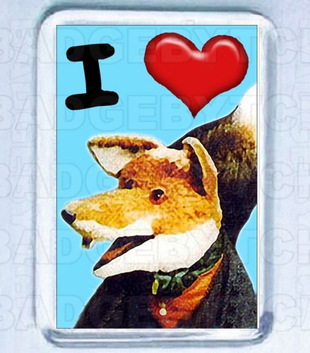 Love basil brush - brush,
