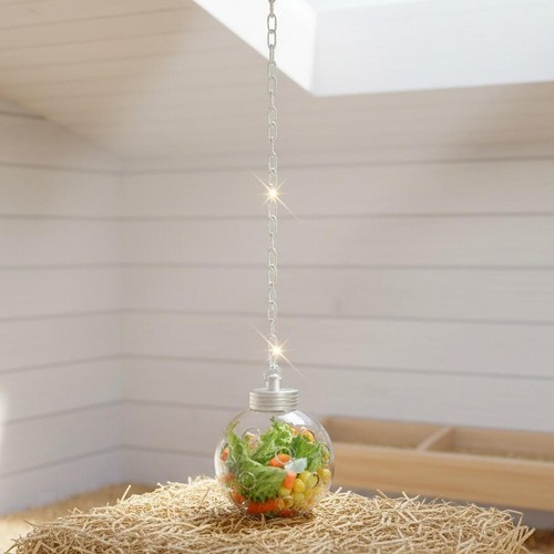Chicken foraging treat ball - chicken,