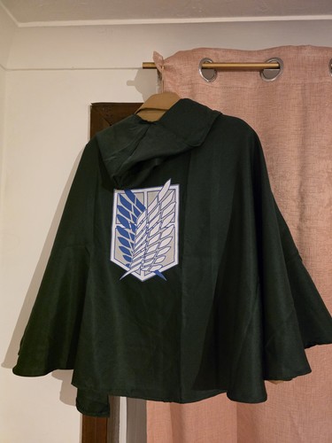 Attack titan scouting - titan,