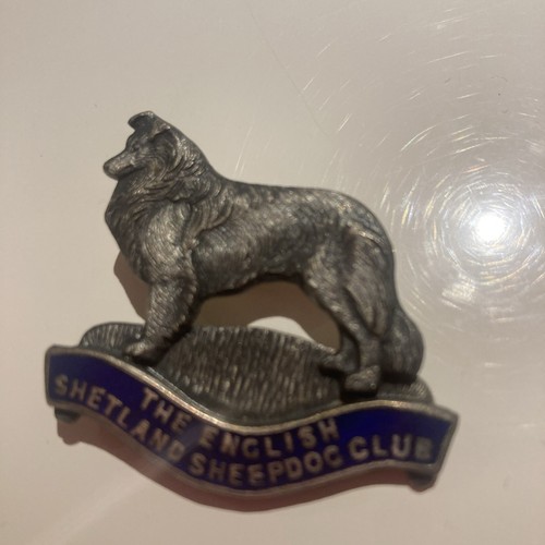 English shetland sheepdog club - english,