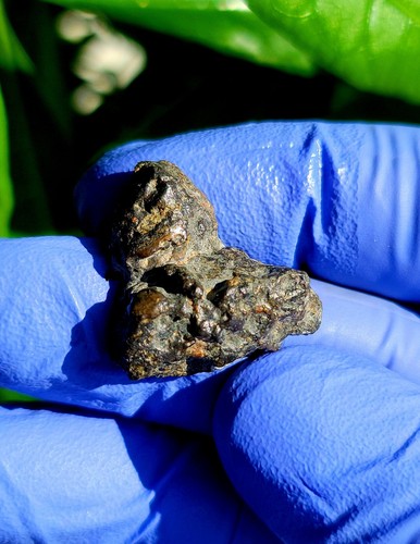 Meteorite nwa 14741 - 14741,, lunar