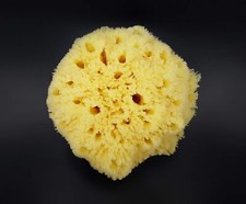 Extra Large Natural Sea Sponge