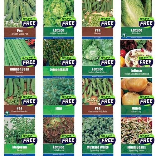 Vegetable seeds herb - vegetable,