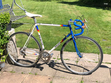 Raleigh Panasonic Reynolds 501