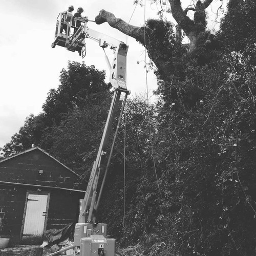Tracked access platform - tracked, /