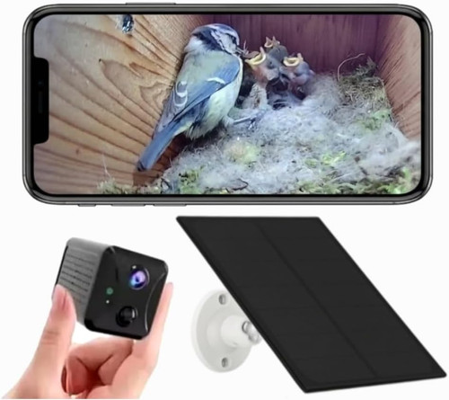 Solar bird box camera with - camera,