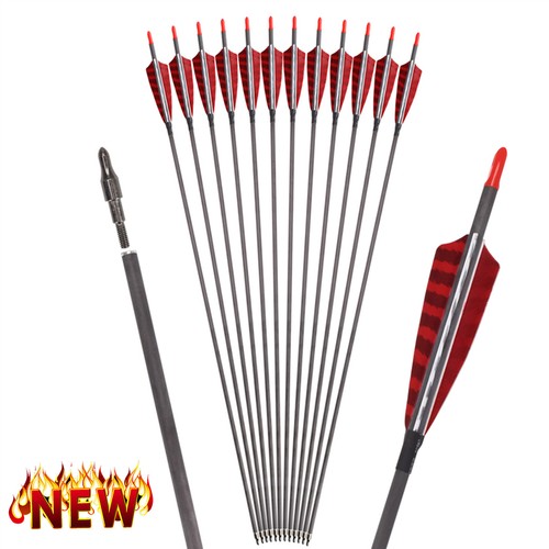 Inch feather carbon arrows - 30"inch,