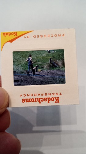 70s 35mm kodachrome - 💥,