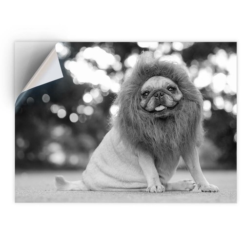 Vinyl sticker bw - x,