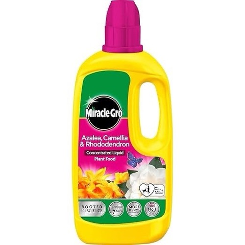 Miracle gro azalea camellia - miracle-gro, azalea,camellia
