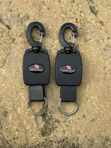 Beaver scuba diving - 2, x