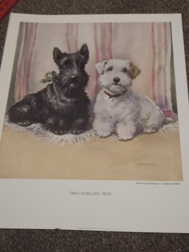 170 vintage prints from - 170-,