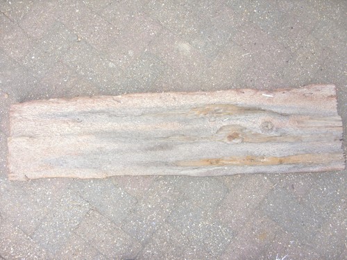 Large driftwood - large,