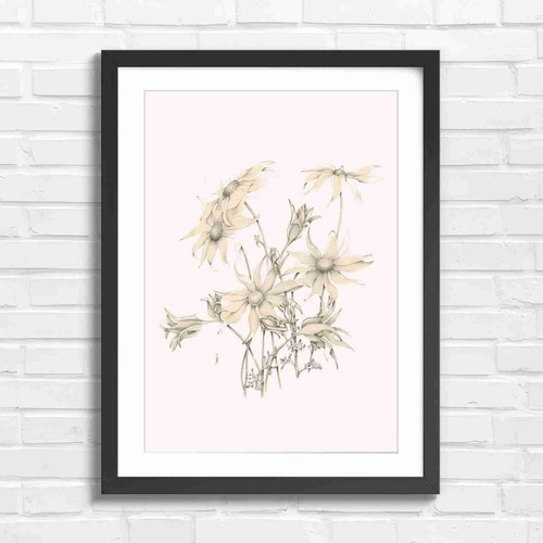Minimalist botanical - minimalist,